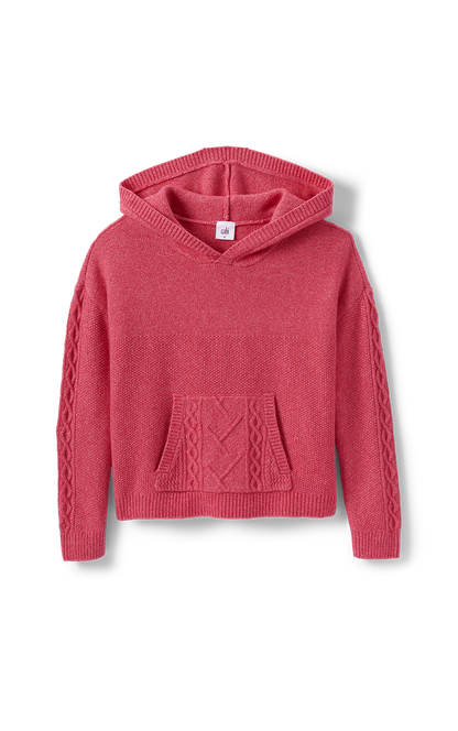 4473 Sidekick Hoodie in Pink Frost