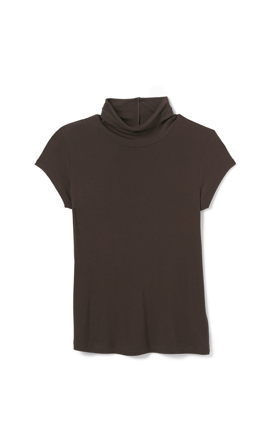 4570 Slinky Turtleneck in Dark chocolate